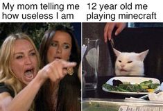 two women pointing at a white cat with its mouth open, and the caption's meme below