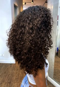 Long Defined Curly Hair, Natural Curls Long Hair, Long Brown Natural Hair, Brown Curly Hair Dye Ideas, Brown Curly Hair With Lowlights, Curly Hair Growth Before And After, Curly Hair Cuts 3b 3c, Curly Hair 3c Hairstyles, Long Layered Hair Curly