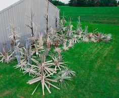 a group of trees that are sitting in the grass next to a fence and building