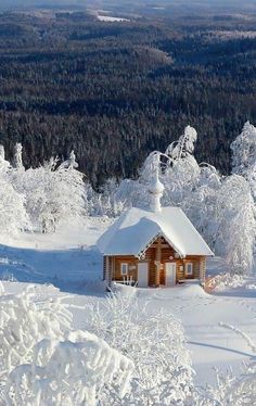 a cabin in the snow surrounded by trees