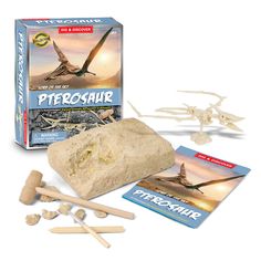 an image of a kit for dinosaurs and other things to make it look like they are in the wild