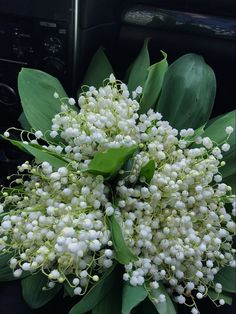 a bouquet of white flowers sitting on top of a car dash board cover in front of a dashboard