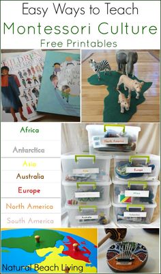 Easy Ways to Teach Montessori Culture with Free Printables, Continent Boxes, Multicultural Books and Activities including Zoology, Science, Botany, Geography, History, Art and Music Continent Boxes Montessori, Culture Activities For Kids, Montessori Culture, Continent Boxes, Culture Activities, Multicultural Activities, Books And Activities