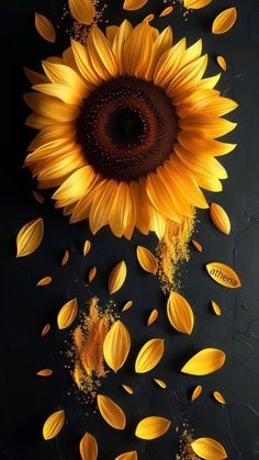 a sunflower with yellow petals falling from it's center on a black background