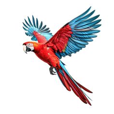 a red and blue parrot flying through the air