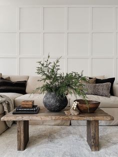 a living room with a couch, coffee table and potted plant on top of it