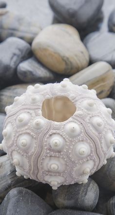 a sea urn sitting on top of rocks covered in white beads and pearls next to water