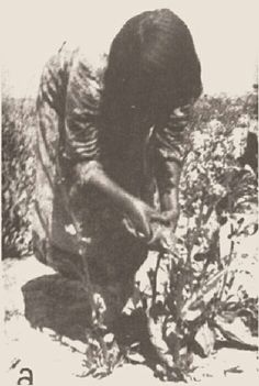 an old black and white photo of a person picking something off the ground with their hands