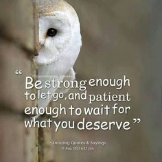 an owl sitting on top of a tree branch with a quote about being strong enough to go and patient enough to wait for what you deserves