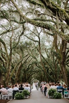 a wedding ceremony in the middle of an avenue lined with live oak trees and moss