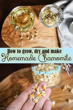 How To Dry Chamomile For Tea, How To Dry Chamomile Flowers, Homemade Chamomile Tea, Fresh Camomile Tea, How To Make Chamomile Tea, How To Grow Chamomile, Growing Camomile, Best Chamomile Tea