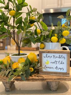 there is a potted lemon tree on the kitchen counter next to a sign that says, where troubles meet like lemon trees