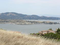 a large body of water sitting next to a lush green hillside