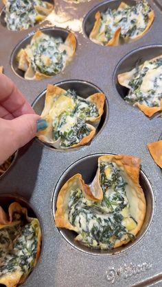 spinach and cheese cups in a muffin tin being filled with them by a hand