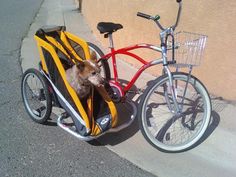 a dog in a bike trailer next to a bicycle