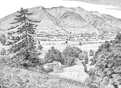 a black and white drawing of trees in the mountains