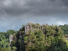 a large rock formation in the middle of a forest with trees on both sides and dark clouds overhead