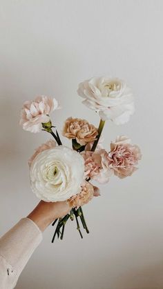 a person's hand holding flowers in front of a white wall with no background