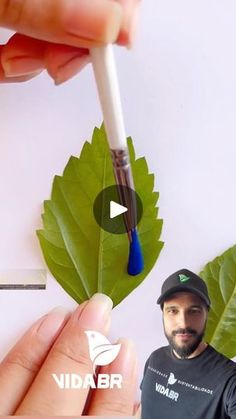 Daycare Art, Leaf Print Art, Chalk Crafts, Creative Arts Therapy, Oil Painting Tutorial, The Joy Of Painting, Leaf Crafts, Butterfly Painting, Painted Leaves