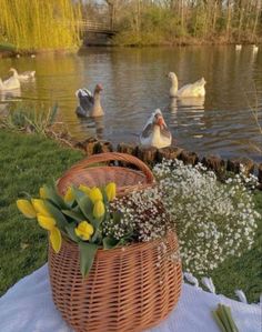 a basket filled with flowers sitting on top of a grass covered field next to a lake