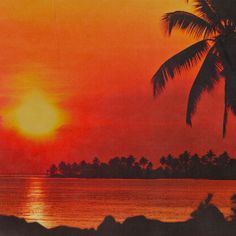 the sun is setting over the ocean with palm trees in front of an orange and red sky