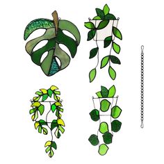 three different types of plants hanging from chains