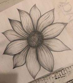 a pencil drawing of a flower on paper