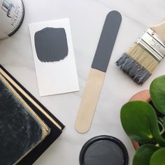 some paint and brushes on a table next to a potted plant with green leaves