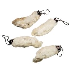 three white cats with black eyes are being chained to each other by chains on a white background