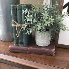 a potted plant sitting on top of a wooden shelf next to two old books