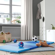 a child's play room with soccer balls, toys and stuffed animals on the floor