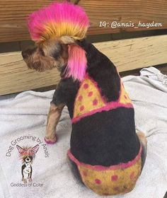 a small dog with pink and yellow hair sitting on a towel