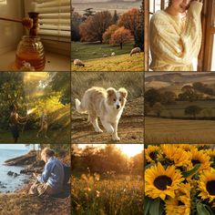 a collage of pictures with sunflowers and animals