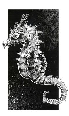 a black and white drawing of a seahorse in the ocean with stars on it