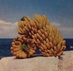 a bunch of bananas sitting on top of a rock near the ocean