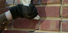 a bird is perched on the side of a brick wall with its head stuck in it's beak