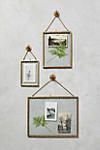 two frames hanging on a wall with pictures and plants attached to the frame above them