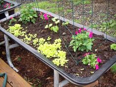 a wheelbarrow filled with flowers and dirt