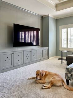 a large dog laying on the floor in front of a flat screen tv and entertainment center