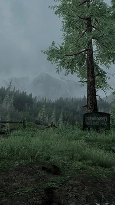 an image of a forest with mountains in the background