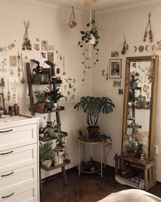 a room filled with lots of plants and mirrors