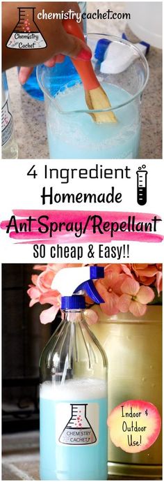 the ingredients for homemade anti - spray / replenant are shown in this collage