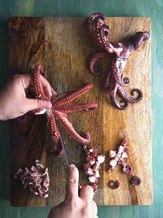 Ceviche de Pulpo-Octopus Ceviche ~ Yes, more please! Sangria Party, Pimms Cup