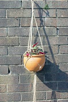 a potted plant hanging from a rope on a brick wall