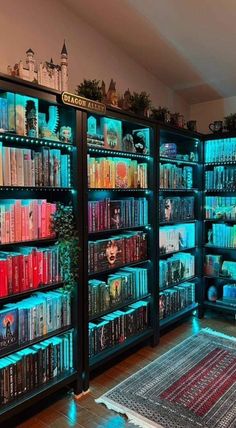 a room filled with lots of books on shelves next to a rug in front of them