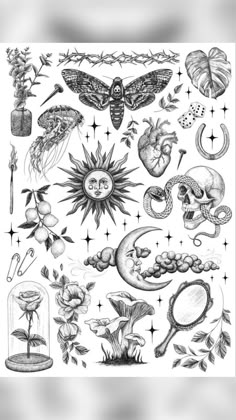 an ink drawing of various items in the shape of flowers and leaves, including moths