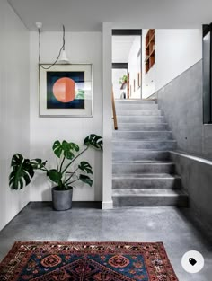 a plant in a pot sitting on the ground next to some stairs and a rug