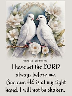 two white doves sitting on top of a branch with flowers in front of them and the words i have set the lord always before me