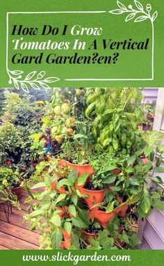 a garden with lots of plants growing in it and the words how do i grow tomatoes in a vertical card garden?