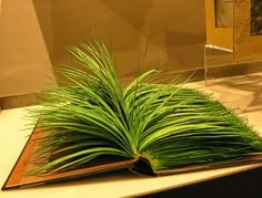 an open book sitting on top of a table next to a plant with long green leaves